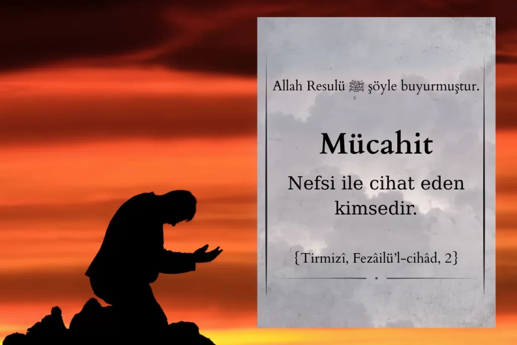 Cihadi Selefilik İlmi Selefilik